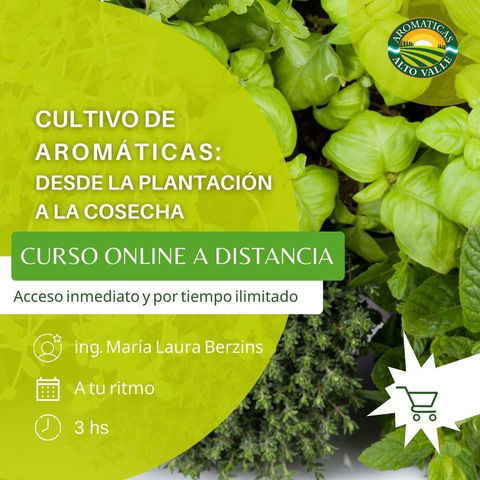 Cultivo de Aromáticas