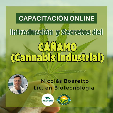 Introducción y Secretos del Cáñamo (Cannabis Industrial)