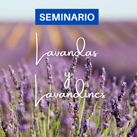 Seminario de Lavandas y Lavandines