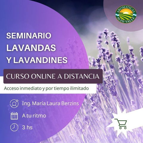 Seminario de Lavandas y Lavandines