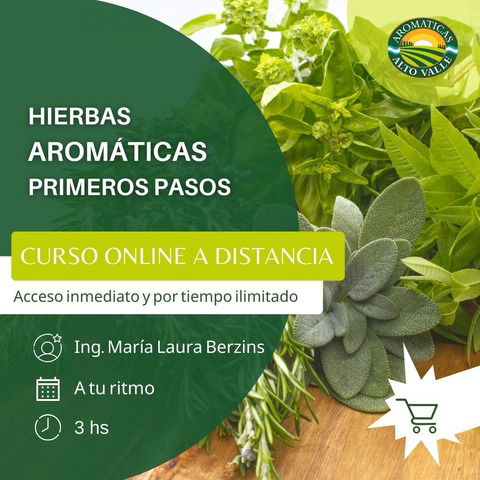 Hierbas Aromáticas Primeros Pasos