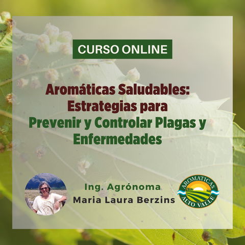 Aromáticas Saludables: Cómo controlar plagas y enfermedades