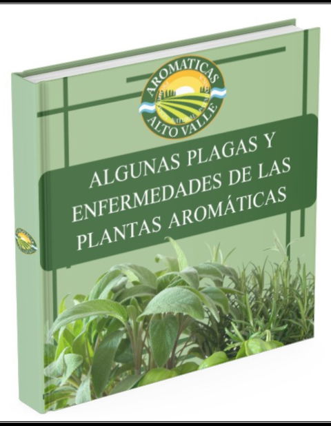 Algunas Plagas y Enfermedades de las Plantas Aromáticas