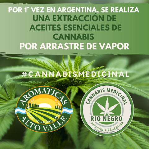 Póster Científico: Extracciónes de Cannabis con Vapor