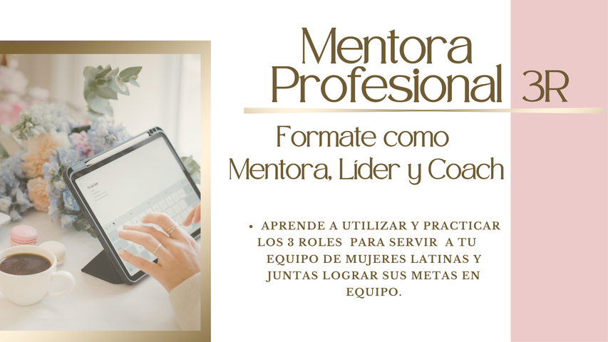 Mentora Profesional 3 Roles 