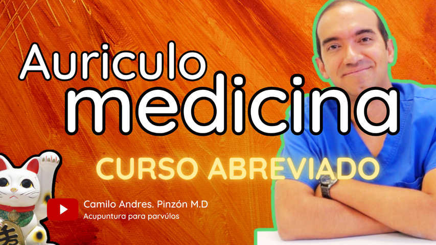 AURICULOTERAPIA: TEORIA Y PRACTICA ( CURSO ABREVIADO)