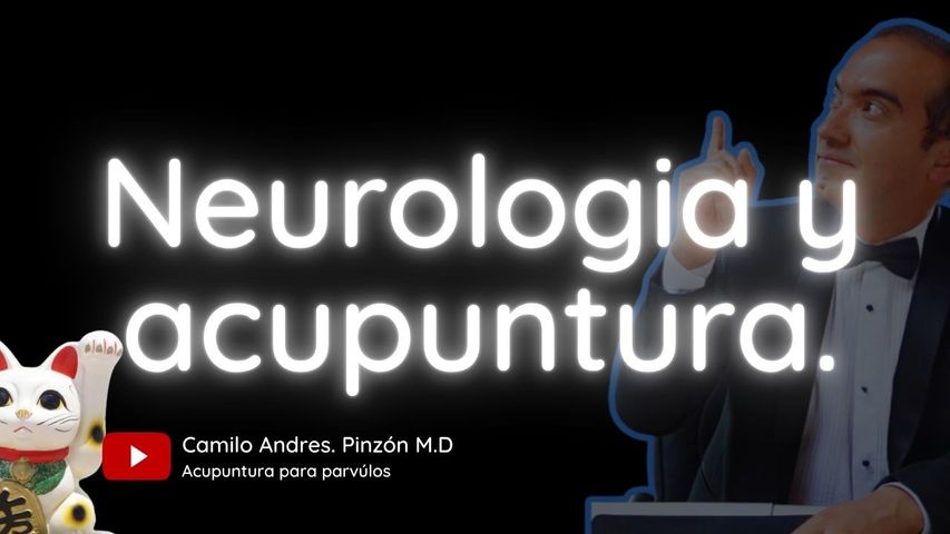 Neurologia en Medicina Tradicional China