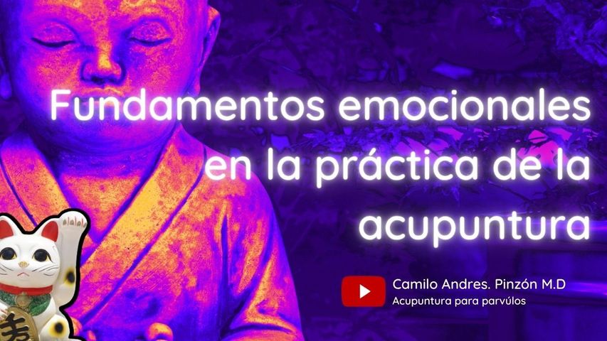 Ben Shen: aspectos psicoemocionales en la medicina china.