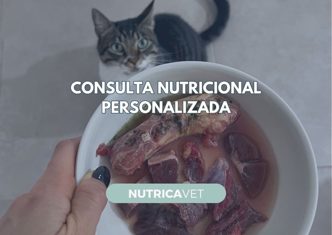 Consulta nutricional personalizada - GATOS