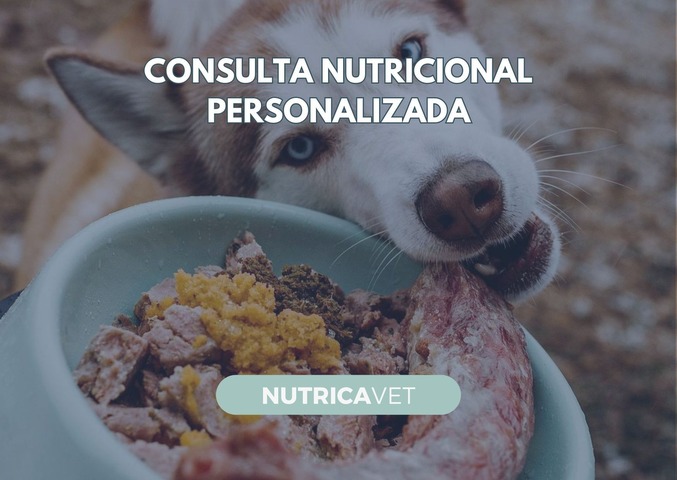 Consulta nutricional personalizada - PERROS 