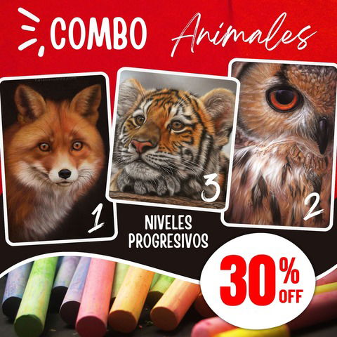 Combo Retrato de Animales - Nivelación progresiva