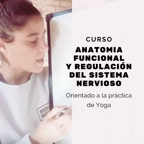 Curso Anatomía Funcional y Regulación del Sistema Nervioso