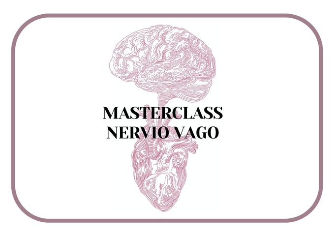 Masterclass Nervio Vago - Enero 2026