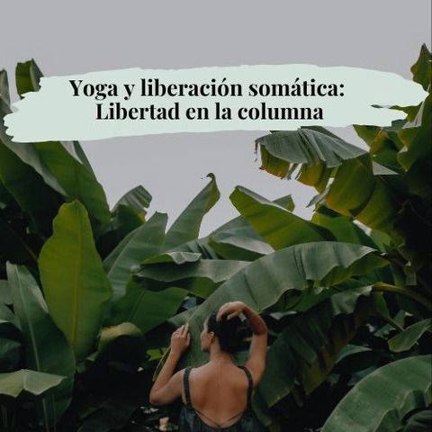 Taller Yoga y liberación somática 