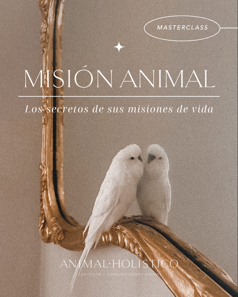 MISIÓN ANIMAL - La masterclass