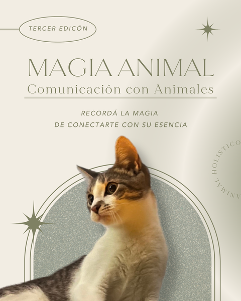 MAGIA ANIMAL