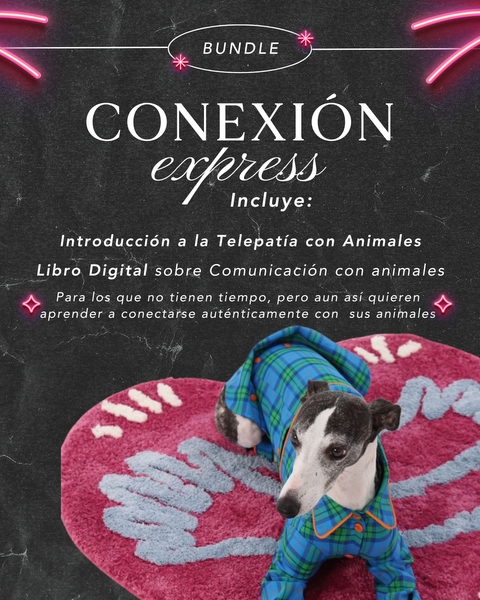 Conexión Express