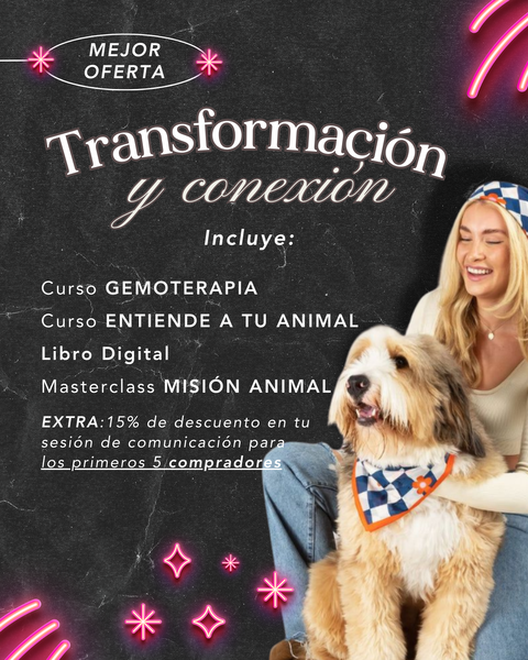 Transformación y Conexión