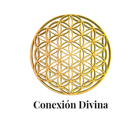 CONEXIÓN DIVINA