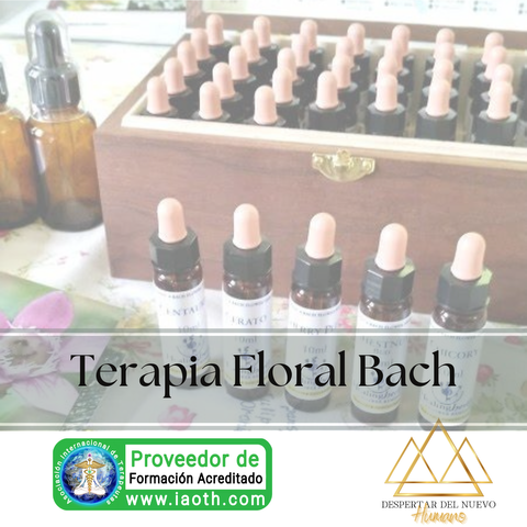 Terapia Floral Bach