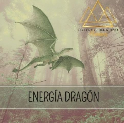 Facilitador en Energía Dragón con Maestría