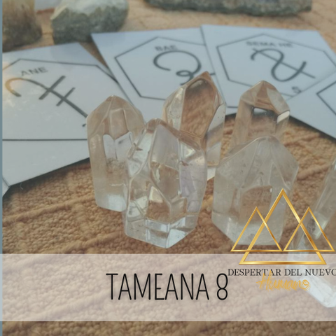 Tameana 8