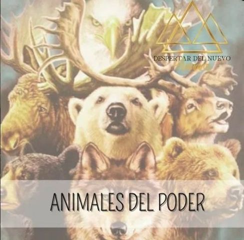 Animales del poder