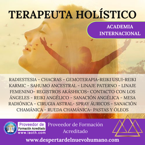 Terapeuta Holístico