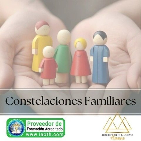 Constelaciones Familiares Individual y grupal GRABADA.