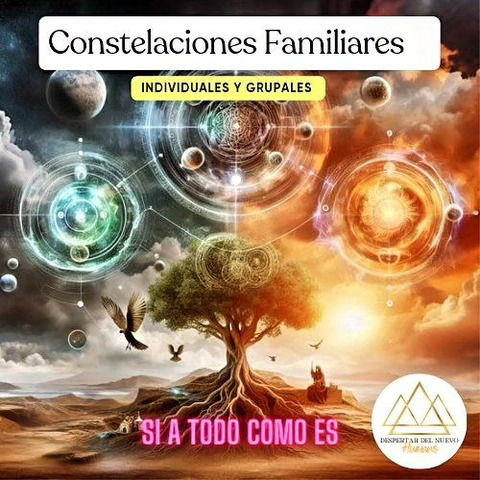 Formación completa de 5 meses en Constelaciones Familiares- INDIVIDUALES Y GRUPALES