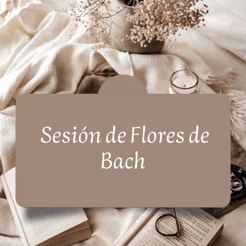 Sesión en Flores de Bach