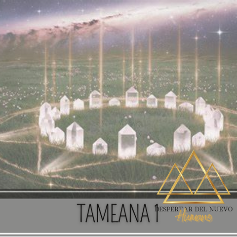 Tameana 1