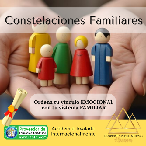 FORMACIÓN EN CONSTELACIONES FAMILIARES - En Vivo