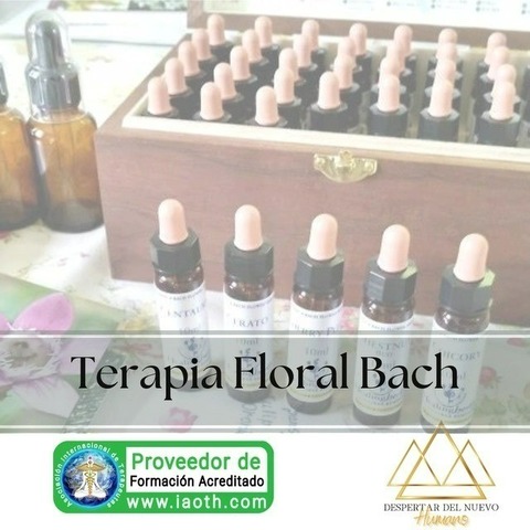Terapia Floral Bach