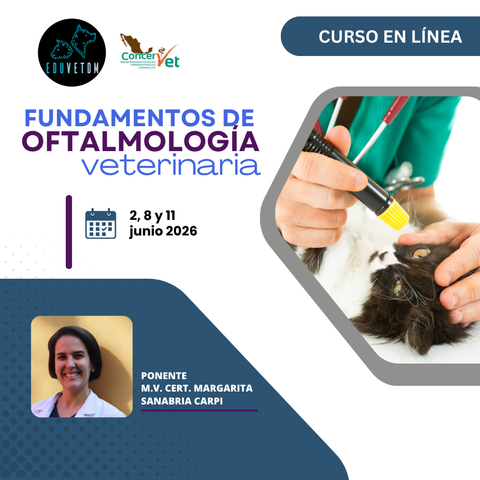 Fundamentos de Oftalmología