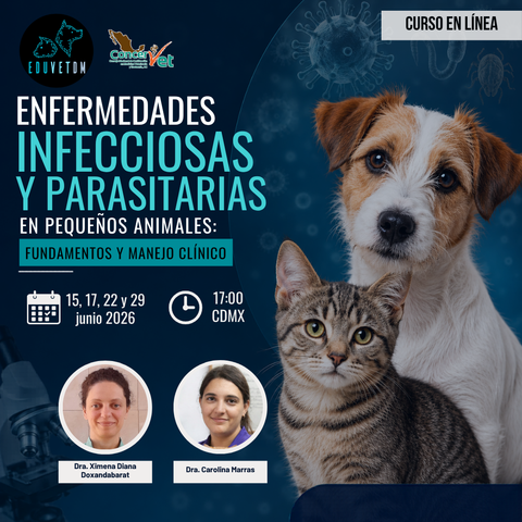 Enfermedades infecciosas y parasitarias en pequeños animales: Fundamento y manejo clínico