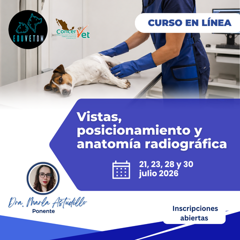 Vistas, posicionamiento y anatomia radiográfica