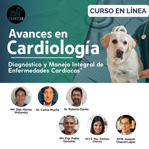 Avances en Cardiología: Diagnóstico y manejo integral de enfermedades cardiacas