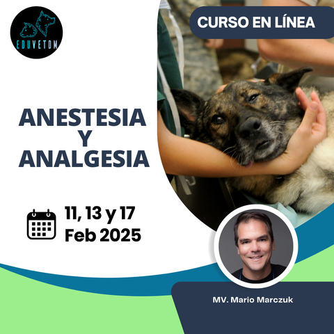 Anestesia y Analgesia 