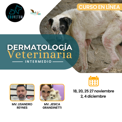 Dermatología Veterinaria-nivel intermedio-