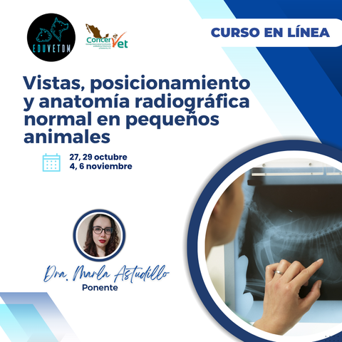 Vistas, posicionamiento y anatomía radiográfica normal 