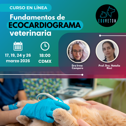 Fundamentos de Ecocardiograma