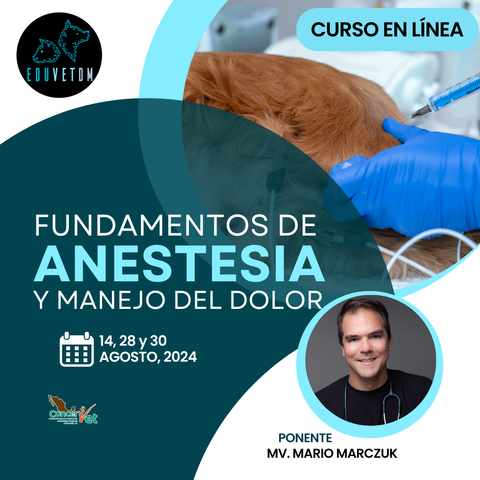 Fundamentos de anestesia y manejo del dolor