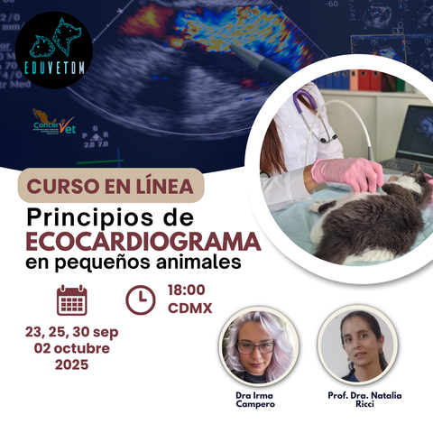 Principios de Ecocardiograma