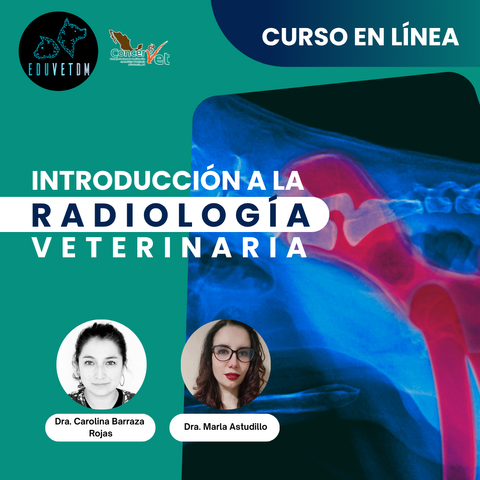 Introducción a la radiología veterinaria