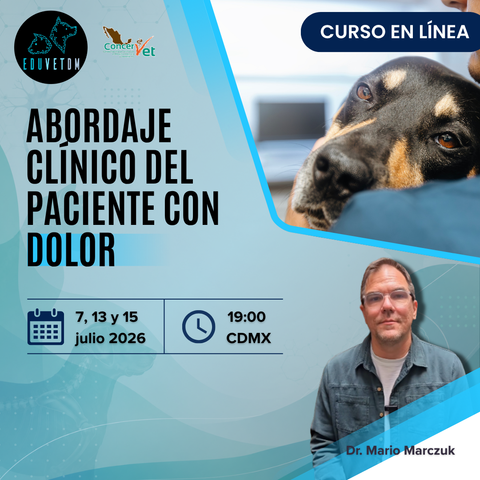Abordaje clínico del paciente con dolor