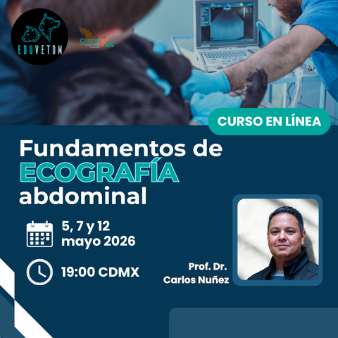 Fundamentos de Ecografía abdominal