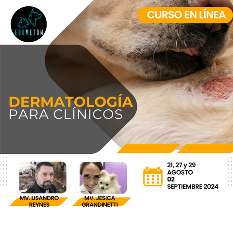 Dermatología para clínicos