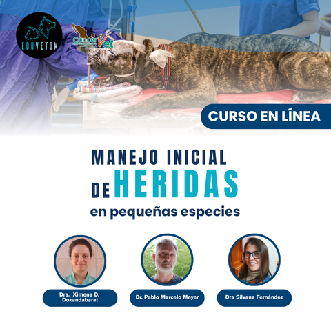 Manejo inicial de heridas en pequeñas especies