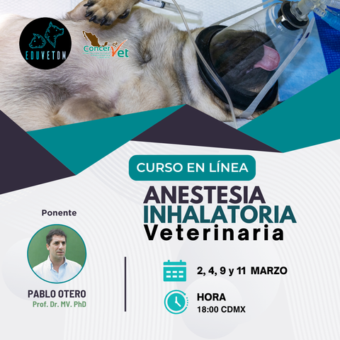 Anestesia Inhalatoria